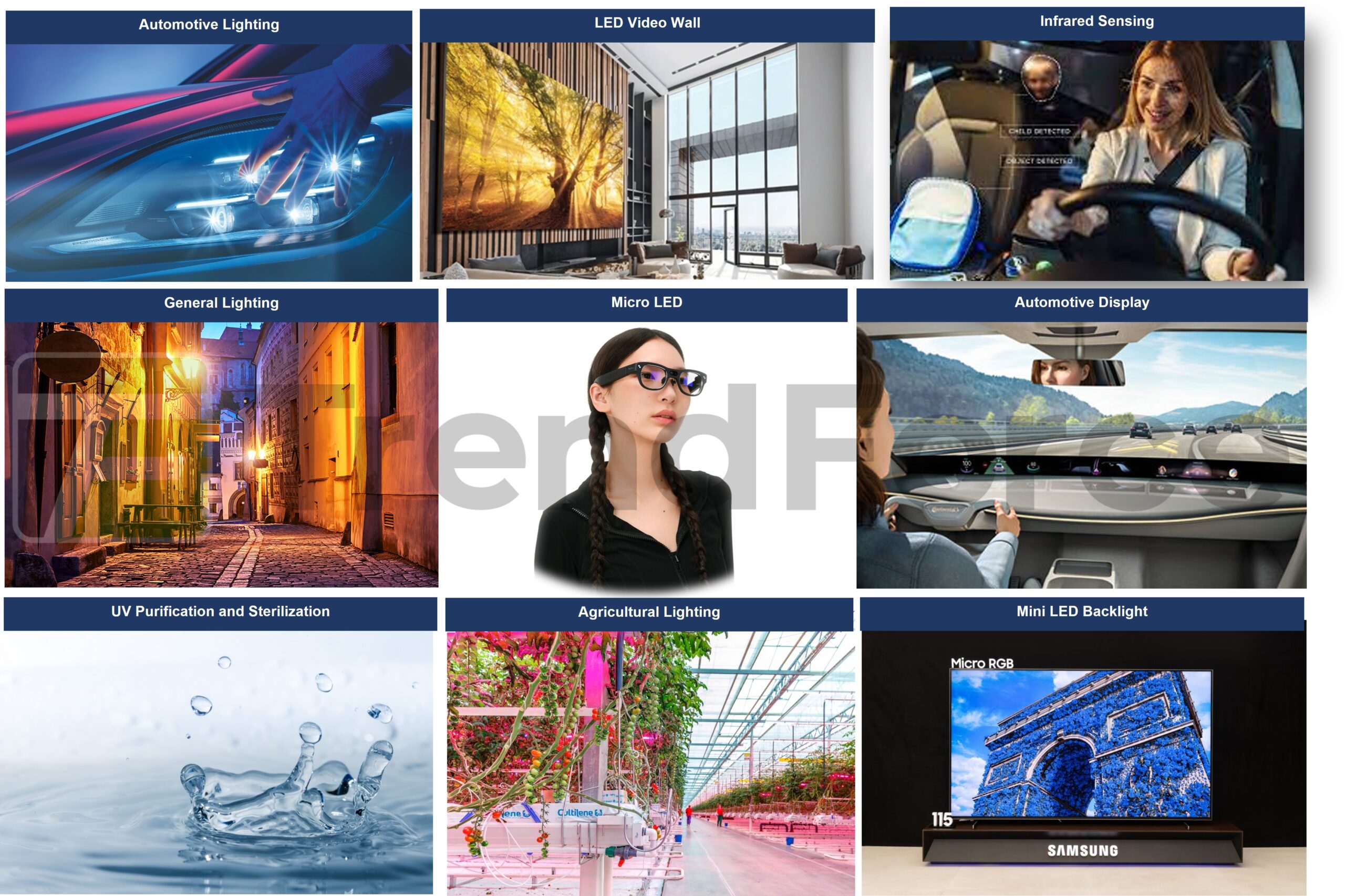 Global LED Market Forecast 2026 TrendForce